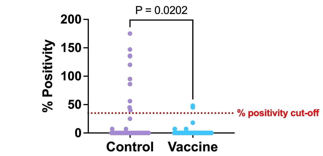 Figure4 ssdl25.jpg